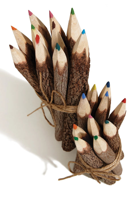 Twig Colored Pencils 3